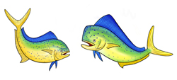 Dolphinfish Thumbnail