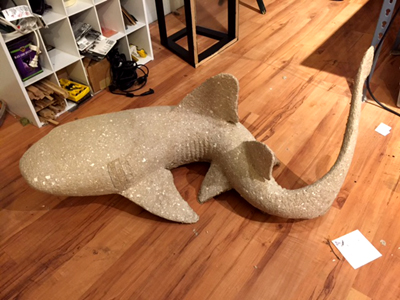 Nurse shark before being painted