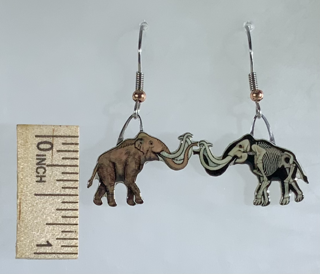 Picture shown is of 1 inch tall pair of earrings of the ancient Mammal the Columbian Mammoth.