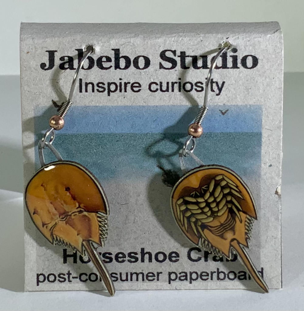 Picture shown is of 1 inch tall pair of earrings of the living fossil the Horseshoe Crab.