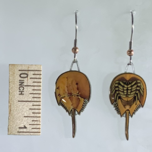 Picture shown is of 1 inch tall pair of earrings of the living fossil the Horseshoe Crab.