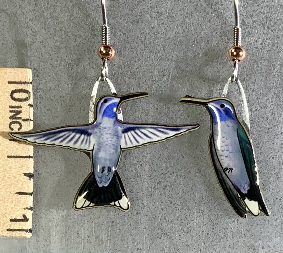 Picture shown is of 1 inch tall pair of earrings of Blue-throated Mountain Gems.