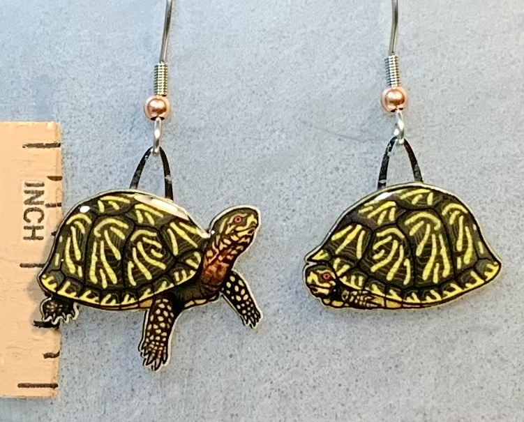 Picture shown is of 1 inch tall pair of earrings of the herp the Box Turtle.