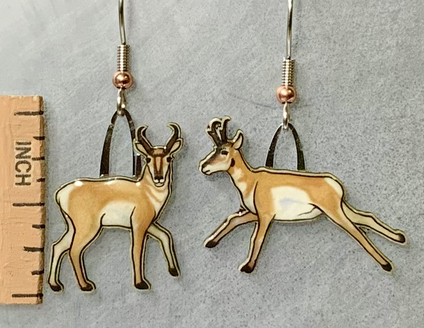 Picture shown is of 1 inch tall pair of earrings of the animal the Pronghorn.