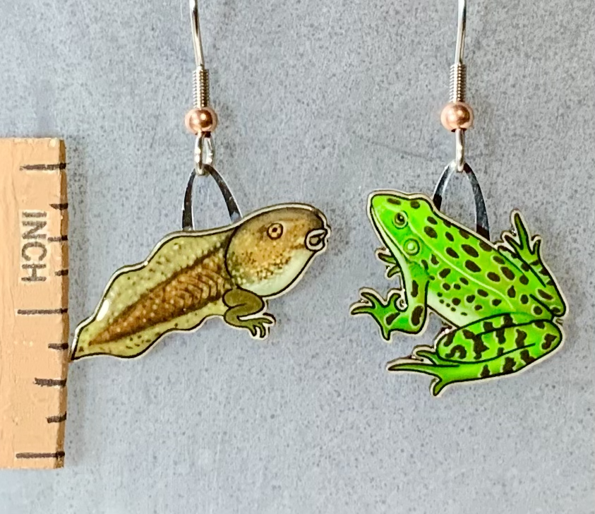 Picture shown is of 1 inch tall pair of earrings of the herp the Tadpole & Frog.