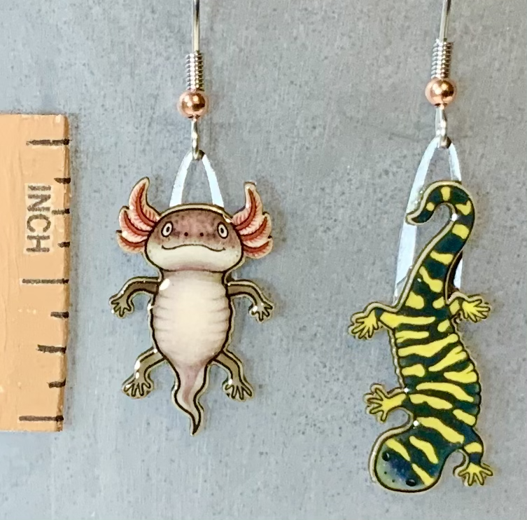 Picture shown is of 1 inch tall pair of earrings of the herp the Tiger Salamander.