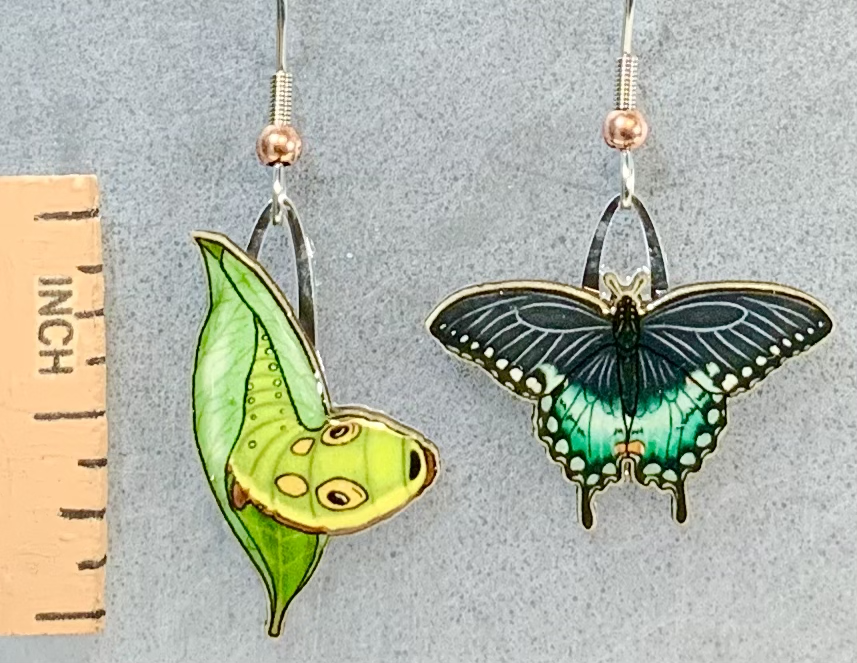 Picture shown is of 1 inch tall pair of earrings of the bug the Spicebush Swallowtail Butterfly.