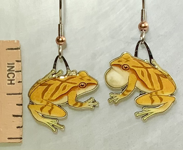 Picture shown is of 1 inch tall pair of earrings of the herp the Spring Peeper.