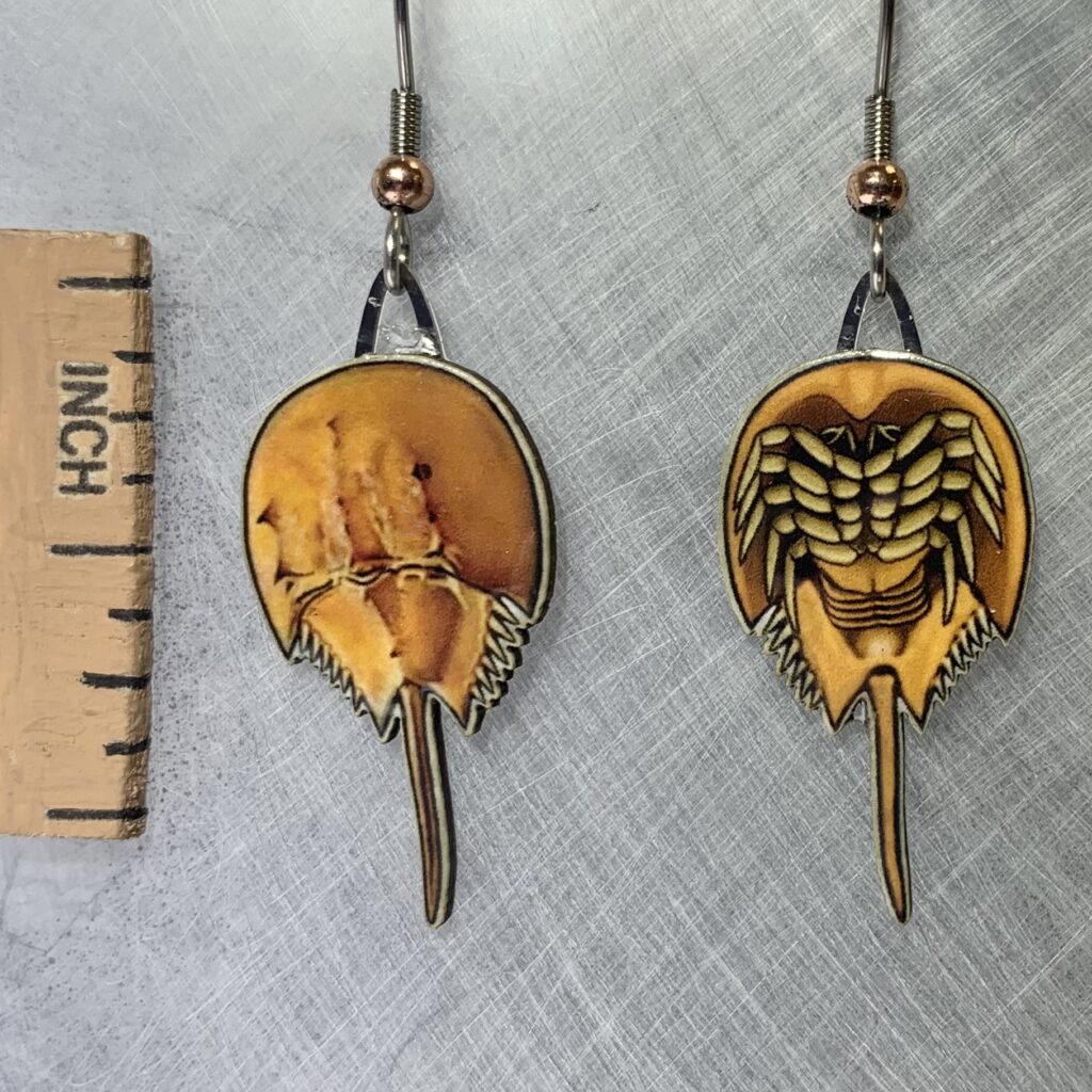 Picture shown is of 1 inch tall pair of earrings of the marine animal the Horseshoe Crab.