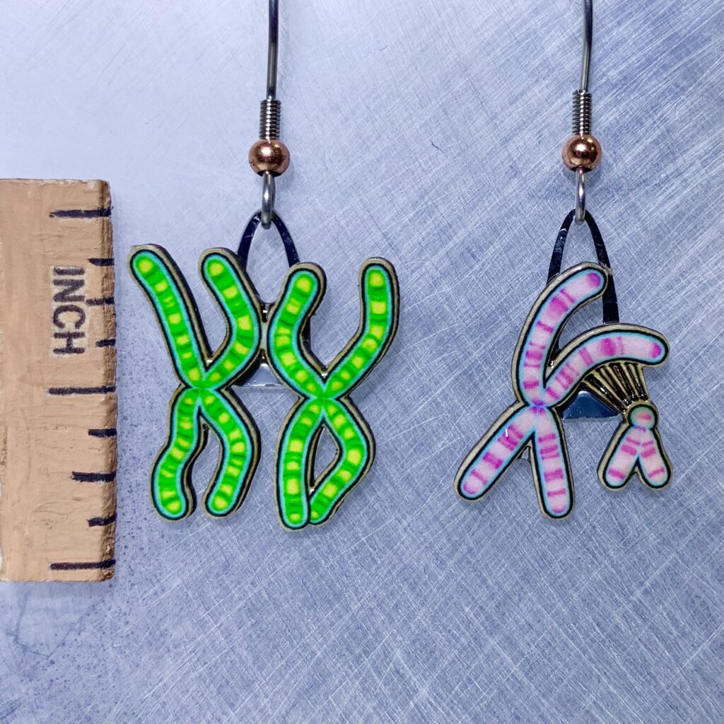 Picture shown is of 1 inch tall pair of earrings of XX and XY Chromosomes.