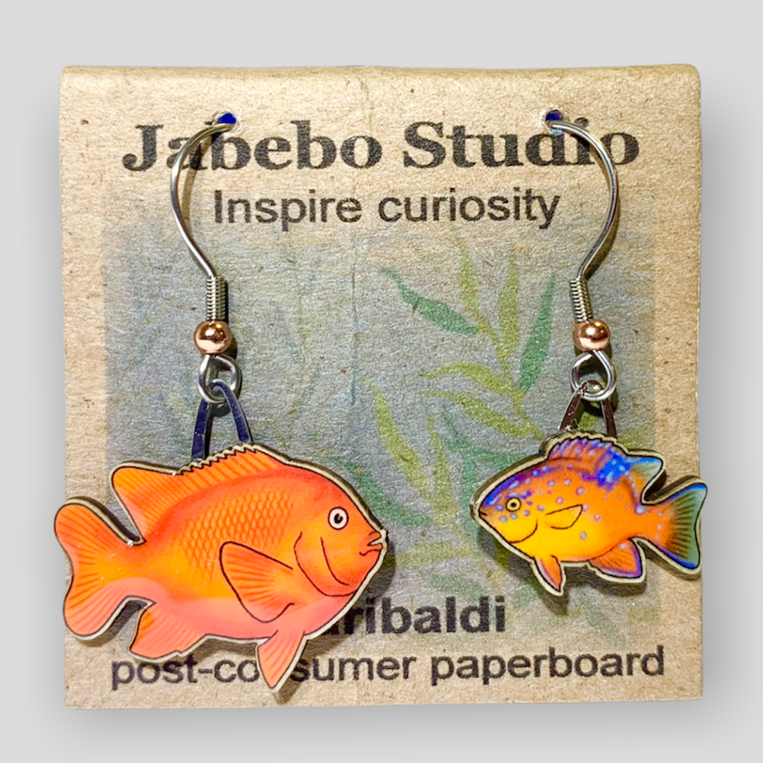 Picture shown is of 1 inch tall pair of earrings of the fish the Garibaldi.