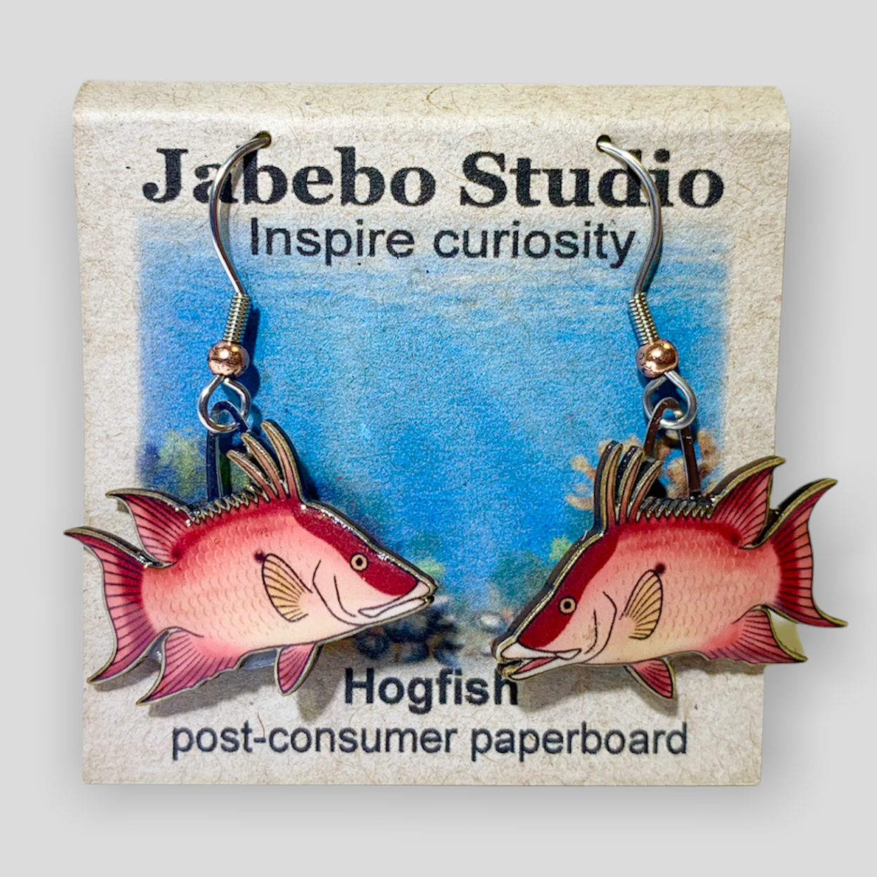 Picture shown is of 1 inch tall pair of earrings of the fish the Hogfish.