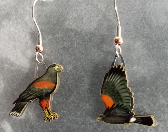 Picture shown is of 1 inch tall pair of earrings of the bird the Harris's Hawk.