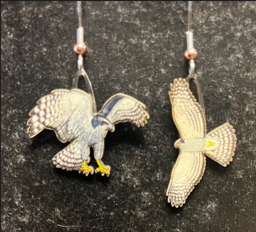 Picture shown is of 1 inch tall pair of earrings of the bird the Northern Goshawk.